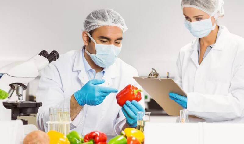 2 inspecteurs un homme et une femme de l'hygiène alimentaire examine une cuisine d'une Pme