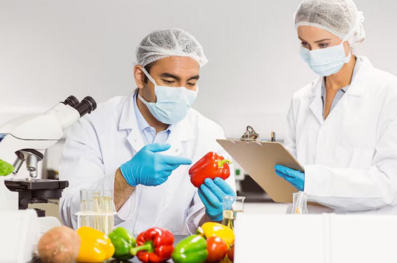 2 inspecteurs un homme et une femme de l'hygiène alimentaire examine une cuisine d'une Pme