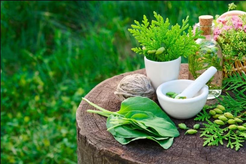 sur un tronc d'arbre l'on peut voir des feuilles medicinales, un bol, 
    des huiles essentielles, pour une séance de naturopathie