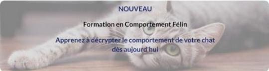 EXEMPLE COUPON 2:  Formation en Comportement Félin