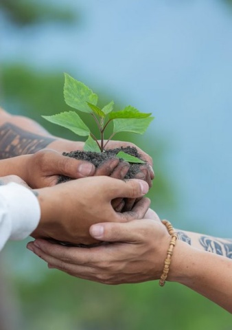 Formation en Développement Durable